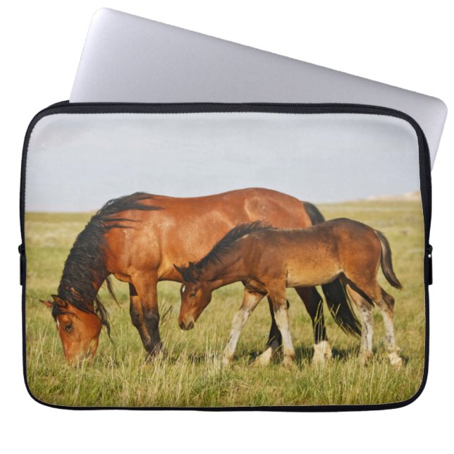 Capa Para Notebook Mãe de Cavalo Selvagem e Potro Pastando (Frente)