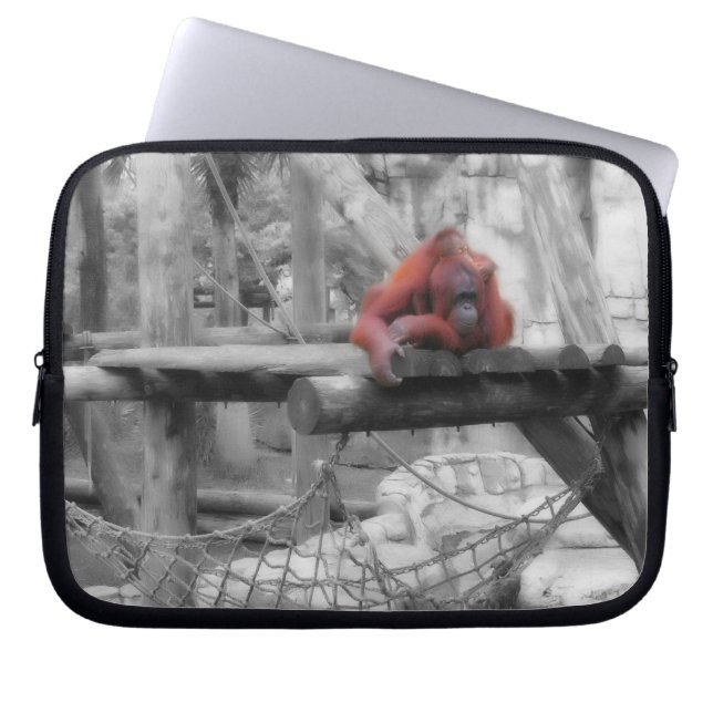 Capa Para Notebook Mãe e Bebê Orangutan (Frente)