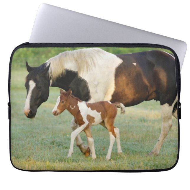 Capa Para Notebook Mãe e Recém-nascida Paint Filly (Frente)