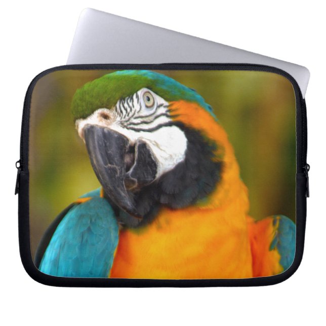 Capa Para Notebook Majestpoderá Macaw (Frente)