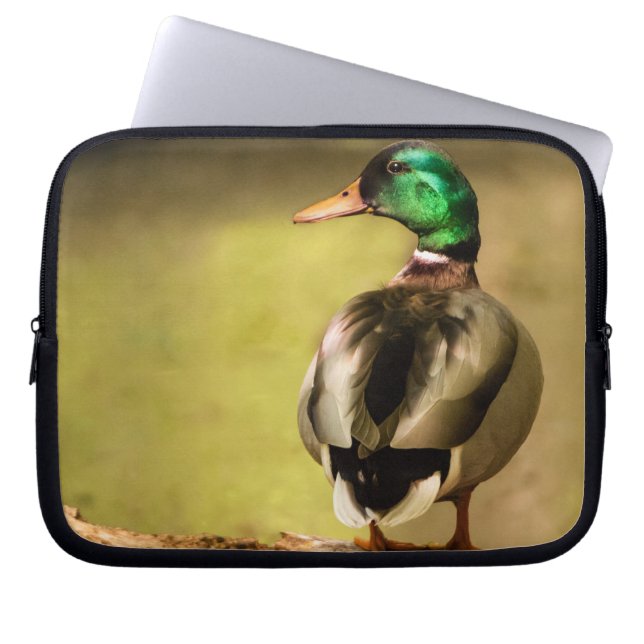 Capa Para Notebook Mallard Duck (Frente)