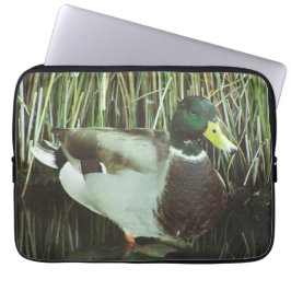Capa Para Notebook Mallard Duck Foto Distinctiva do Lago Masculino
