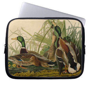 Capa Para Notebook Mallard Duck - Pincel de Ave Audubon