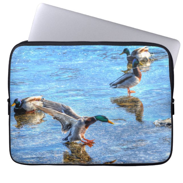 Capa Para Notebook Mallard Duck Wildlife Foto para amantes de aves (Frente)