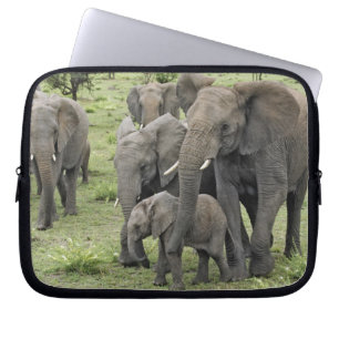 Capa Para Notebook manada de elefantes africanos, Loxodonta africana,