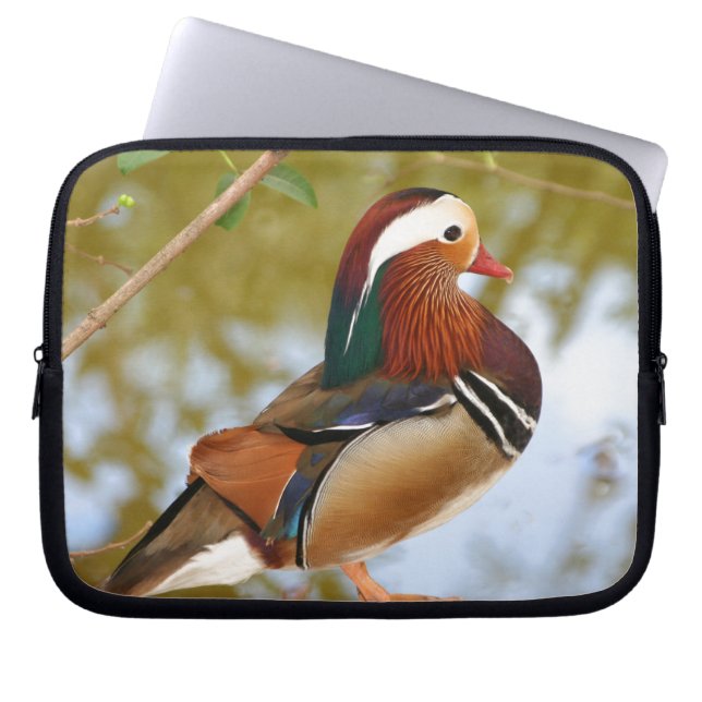Capa Para Notebook Mandarin Duck (Frente)