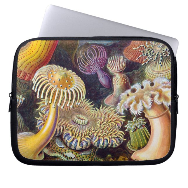 Capa Para Notebook Mar Anêmona Natureza Científica Oceânica (Frente)