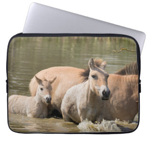 Capa Para Notebook Mare com Foal Cruzando um Rio