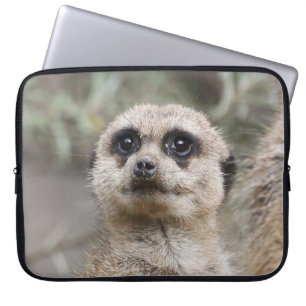 Capa Para Notebook Meerkat 082