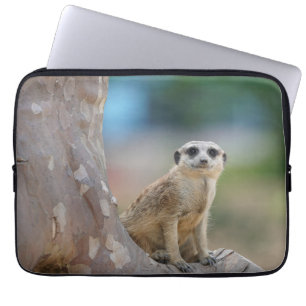 Capa Para Notebook Meerkat bonito na árvore