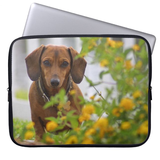 Capa Para Notebook Mini saco vermelho do laptop do Dachshund (Frente)