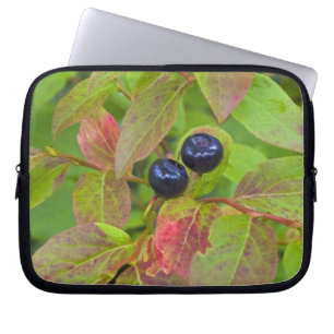 Capa Para Notebook Mirtilos maduros no Flathead National