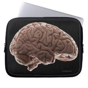 Capa Para Notebook Modelo do cérebro humano, tiro do estúdio