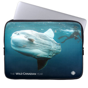 Capa Para Notebook Mola
