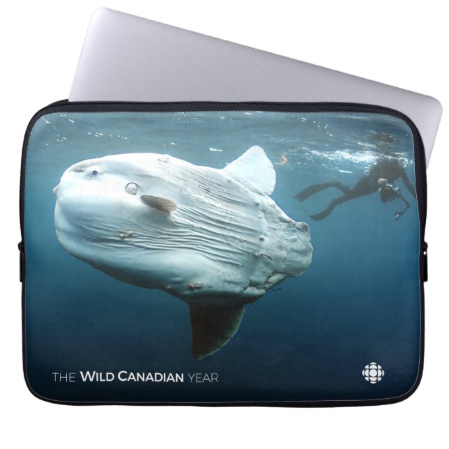 Capa Para Notebook Mola (Frente)