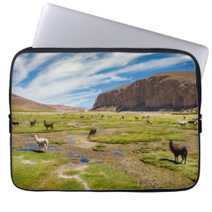 Capa Para Notebook Montanhas Andes bolivianos