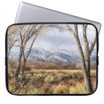 Mountain View do vale de Owens de Mt. Tom