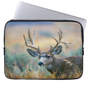 Capa Para Notebook Mule Deer Buck Grand Teton National Park Wyoming