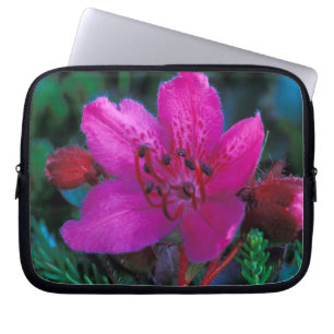 Capa Para Notebook NA, EUA, Alasca, Ilhas Aleutas, Flores Silvestres
