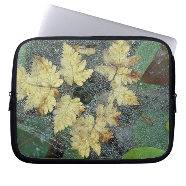 Capa Para Notebook NA, EUA, Alaska, Nancy Lake. Mastigar na teia (Frente)