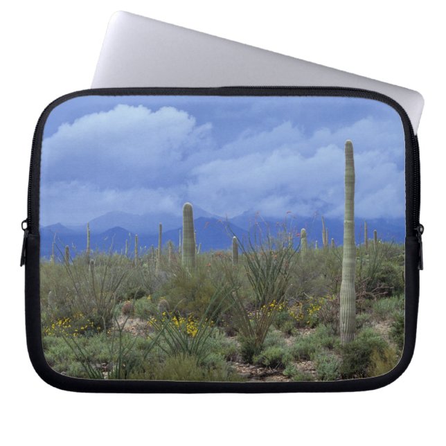 Capa Para Notebook NA, EUA, Arizona, Monumento Nacional Saguaro, (Frente)
