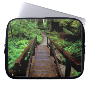 Capa Para Notebook NA, EUA, Califórnia, Jedidiah Smith Redwoods