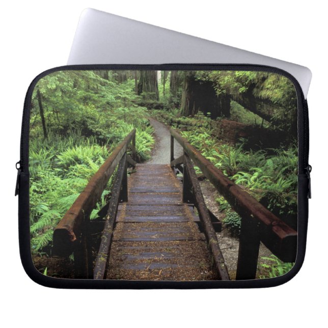 Capa Para Notebook NA, EUA, Califórnia, Jedidiah Smith Redwoods (Frente)