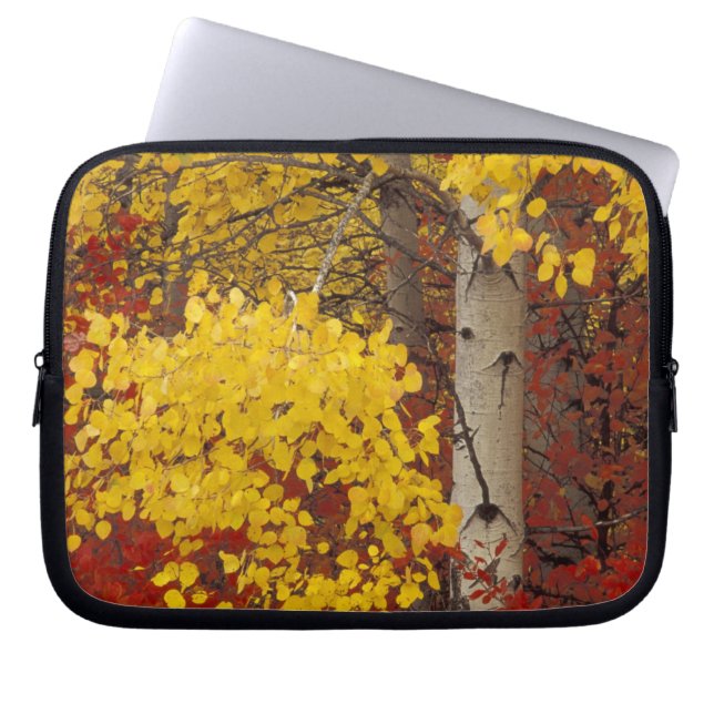 Capa Para Notebook NA, EUA, Washington, Wenatchee National Forest. (Frente)