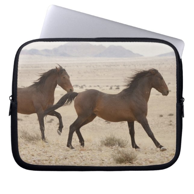Capa Para Notebook Namíbia, Aus. Cavalos selvagens correndo no Namib (Frente)