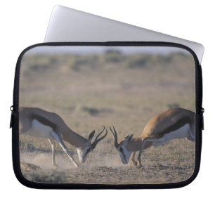 Capa Para Notebook Namíbia, Parque Nacional Etosha, Dois machos