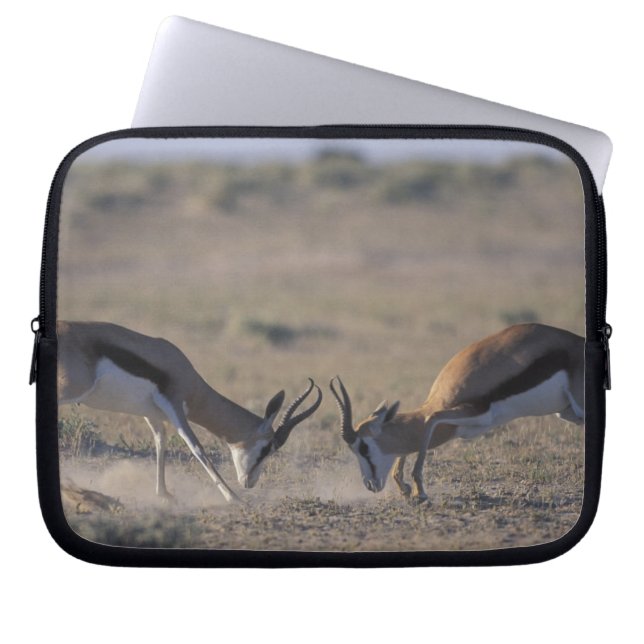 Capa Para Notebook Namíbia, Parque Nacional Etosha, Dois machos (Frente)