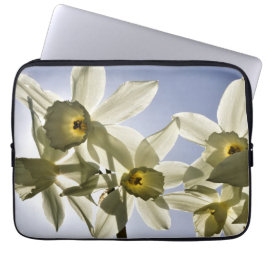 Capa Para Notebook Narcissen die bloeien met een lente blauwe lucht 