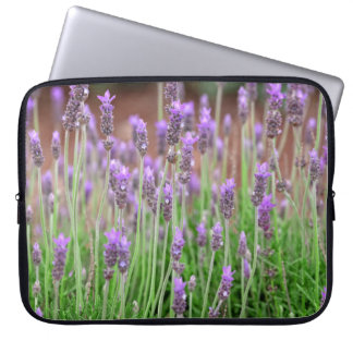 Capa Para Notebook Natureza