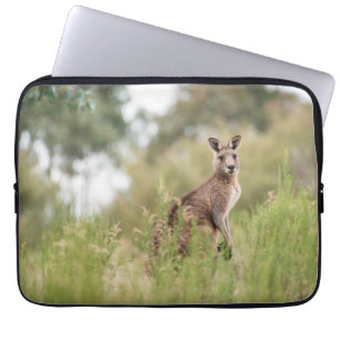 Capa Para Notebook Neoprene Bolsa de laptop 13 polegadas