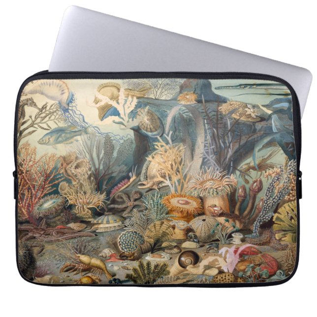 Capa Para Notebook Neoprene Bolsa de laptop 13 polegadas (Frente)