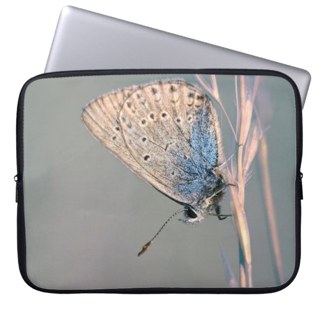 Capa Para Notebook Neoprene Bolsa de laptop 15 polegadas (Frente)