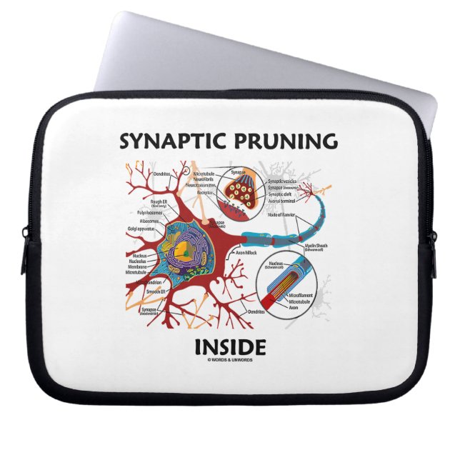 Capa Para Notebook Neurologia interna de poda Synaptic da sinapse do (Frente)