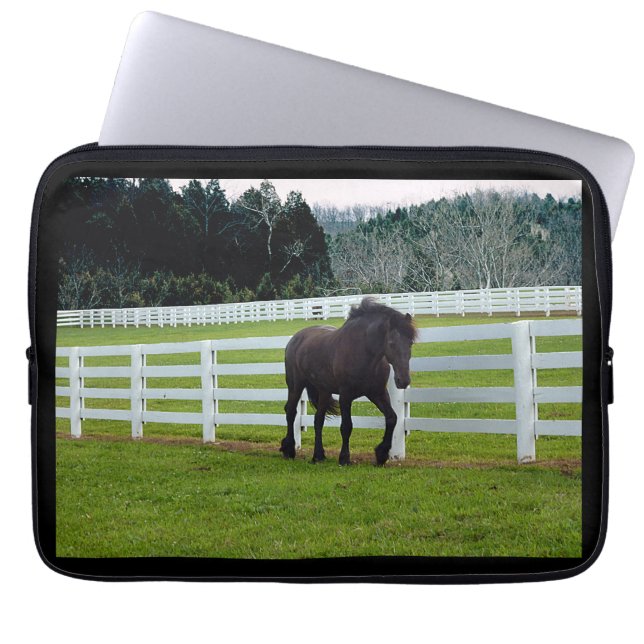 Capa Para Notebook Nonesuch at Cedar Point  (Frente)