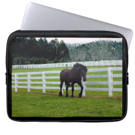 Capa Para Notebook Nonesuch em Cedar Point