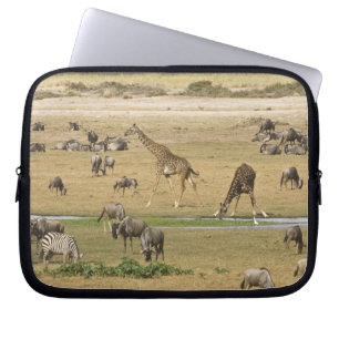 Capa Para Notebook Ñus, Zebras e Girafas
