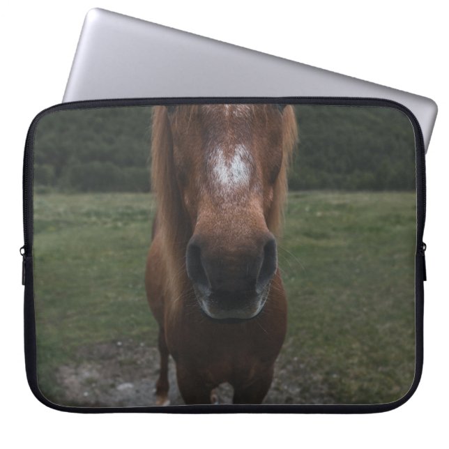 CAPA PARA NOTEBOOK OLÁ, EU SOU UM CAVALO (Frente)