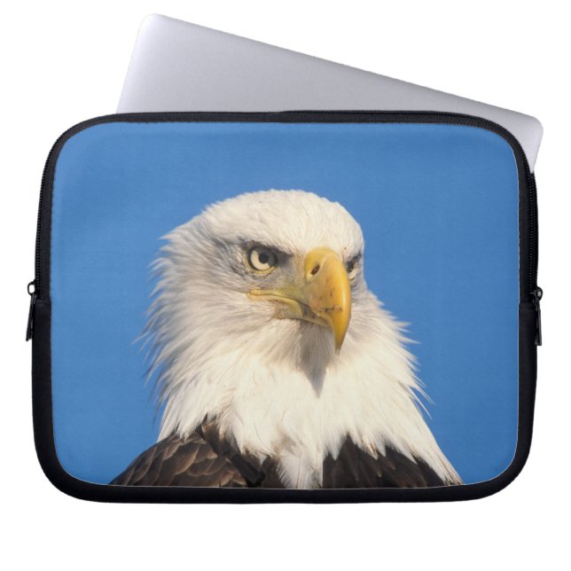 Capa Para Notebook Olhar de Águia Americana (Frente)