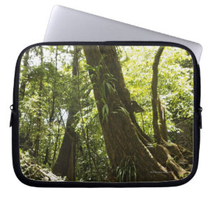 Capa Para Notebook opinião da floresta húmida, Dominica
