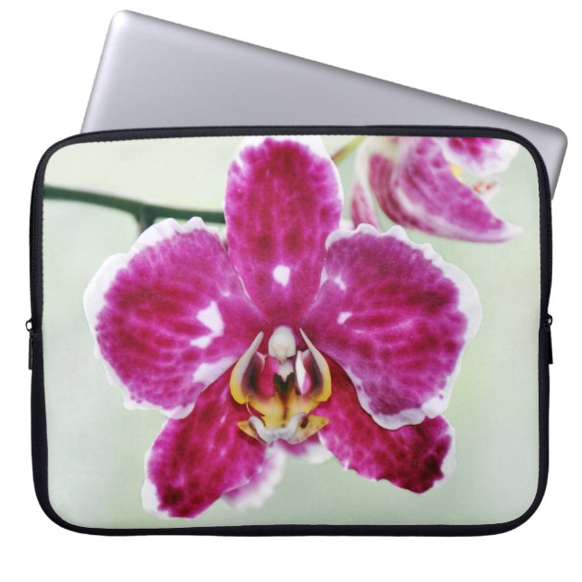 Capa Para Notebook Orquídea cor-de-rosa (Frente)