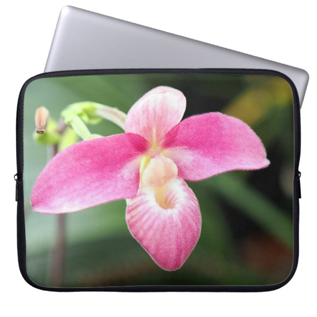 Capa Para Notebook Orquídea rosa adorável (Frente)