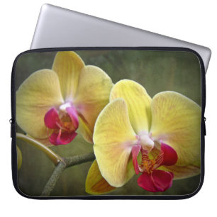 Capa Para Notebook Orquídeas-Mama amarelas - Phalaenopse