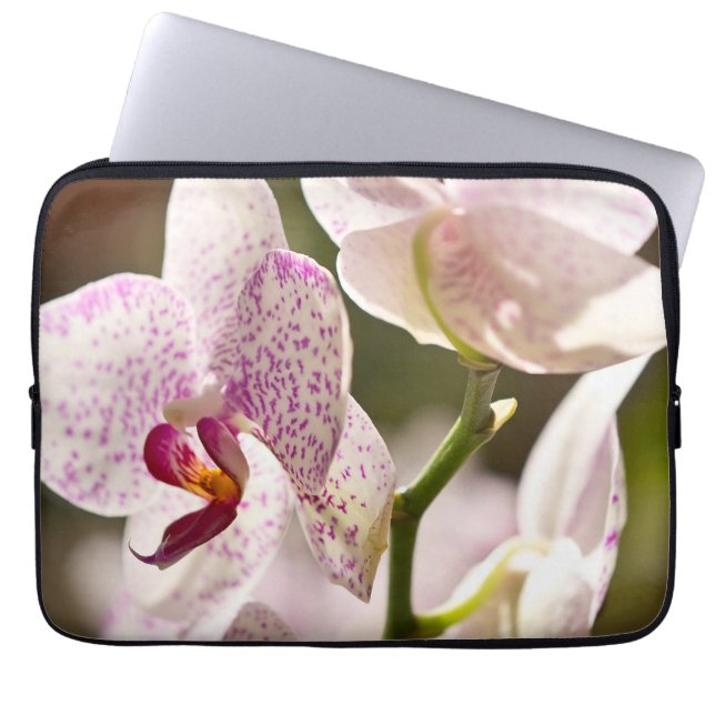 Capa Para Notebook Orquídeas por Shirley Taylor (Frente)