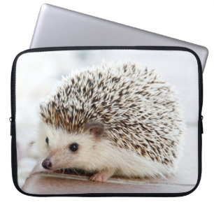 Capa Para Notebook Ouriço bonito do bebê