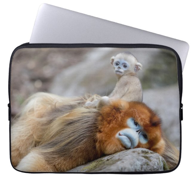 Capa Para Notebook Ouro de macaco com nariz esnube Pai com bebê (Frente)