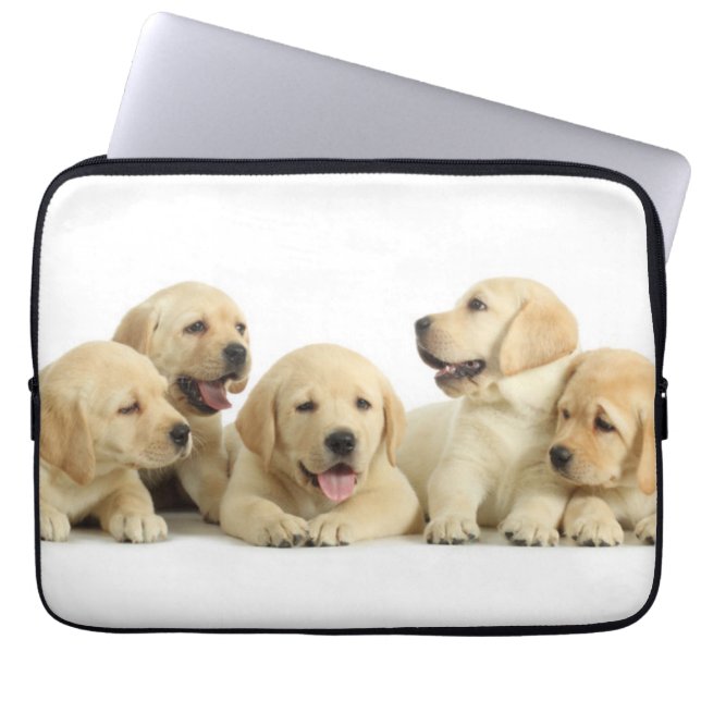 Capa Para Notebook Ouro Labrador Puppy Pile (Frente)